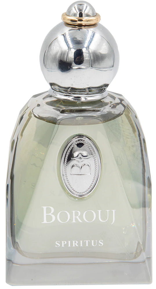 Borouj Spiritus 100 ml